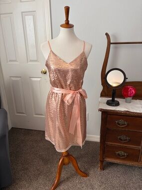 Skies Are Blue Rose Gold Sequin Slip with Satin Waist Detail